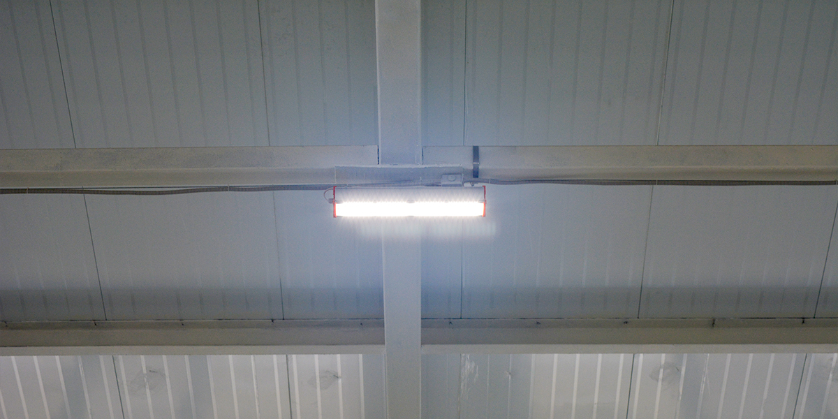 Фото проекта